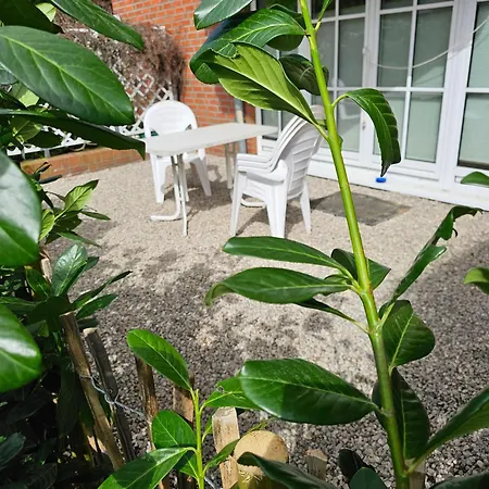 Ostseele - Sunny Apartamento *