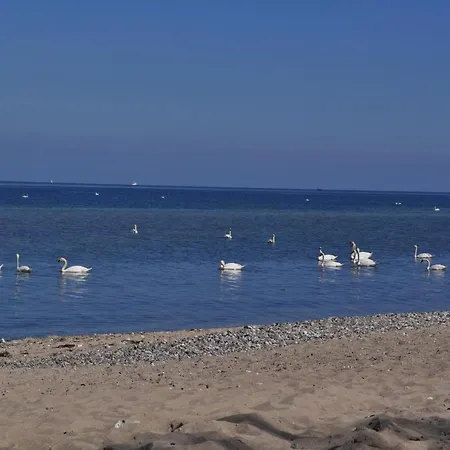 Ostseele - Sunny *