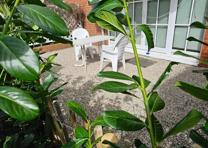 Ostseele - Sunny Appartement *